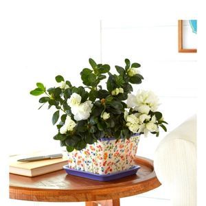 SOLD ioneer Woman PLANTER  Toss Blue 6in square Planter, free gift, Gift Idea 🌺